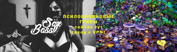 герыч Абаза