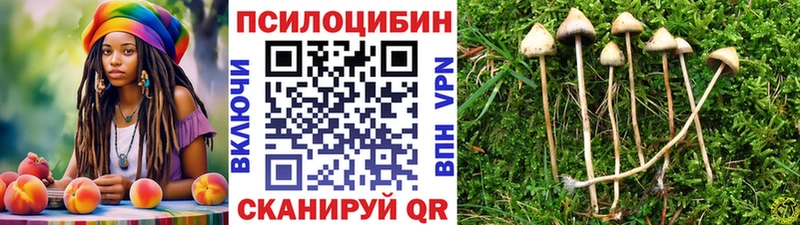 Галлюциногенные грибы мицелий  Сурск 
