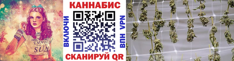Каннабис ГИДРОПОН Сурск